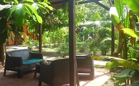 Aracari Garden Hostel